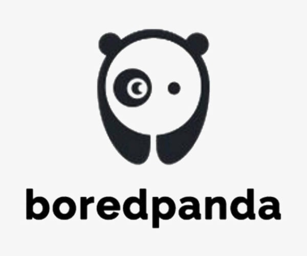Boredpanda-lorier-bored-panda-logo-bored-panda-feature-flowerpot-bored-panda-1170x975