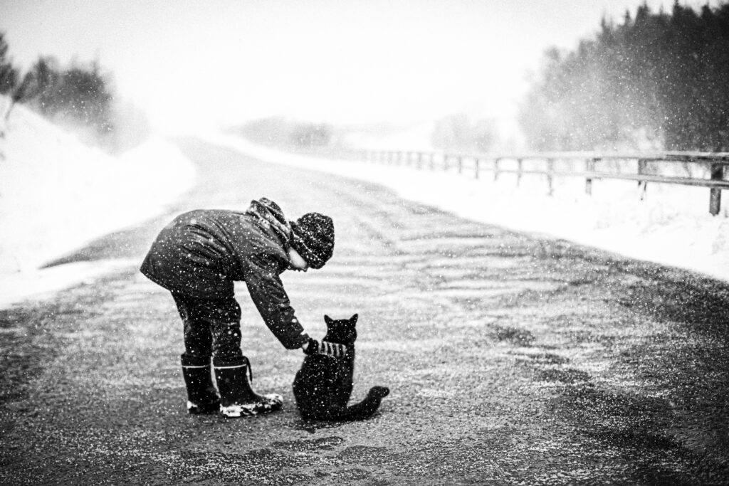 OT5A1158 Copy 1024x683