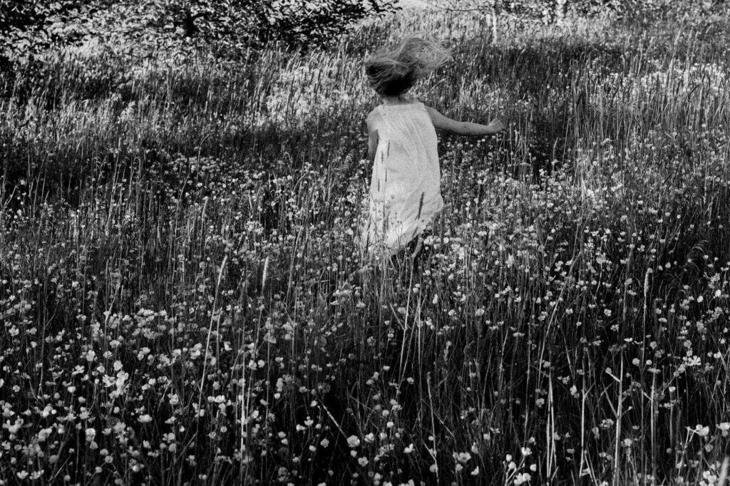 107810520 976624669444554 7559913636212439106 n copy