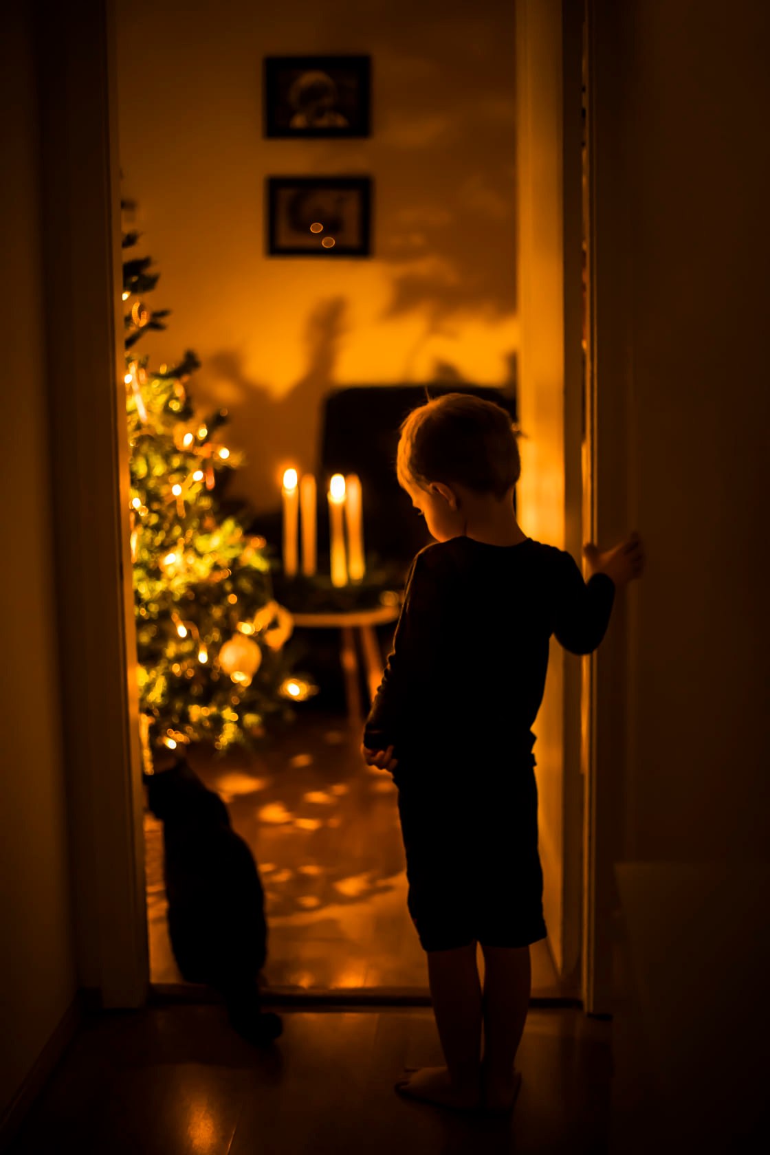 472227559 2092456481194695 902247163816533039 n